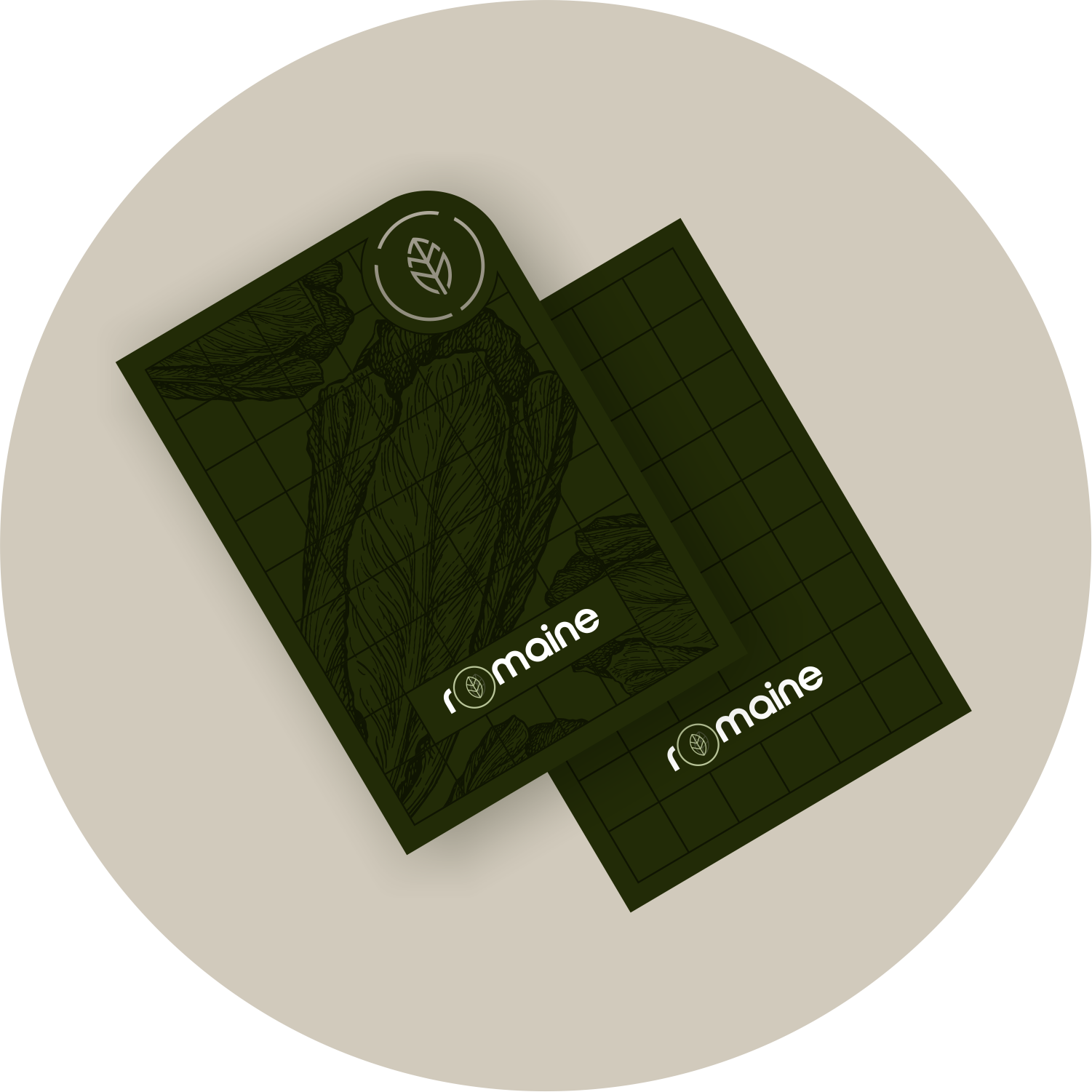 PROJECT SHOWCASE 01-02 Romaine